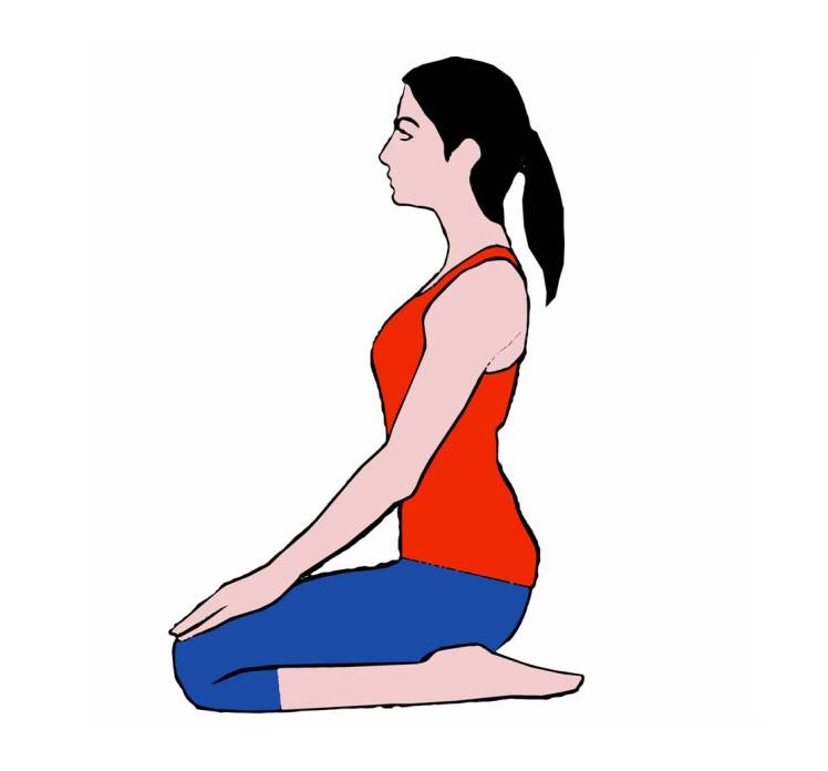 Featured image of post Vajrasana Cartoon Vajrasana is a kneeling pose and it takes its name from the sanskrit word vajra which means the vajrasana regulates blood circulation in the lower pelvic region
